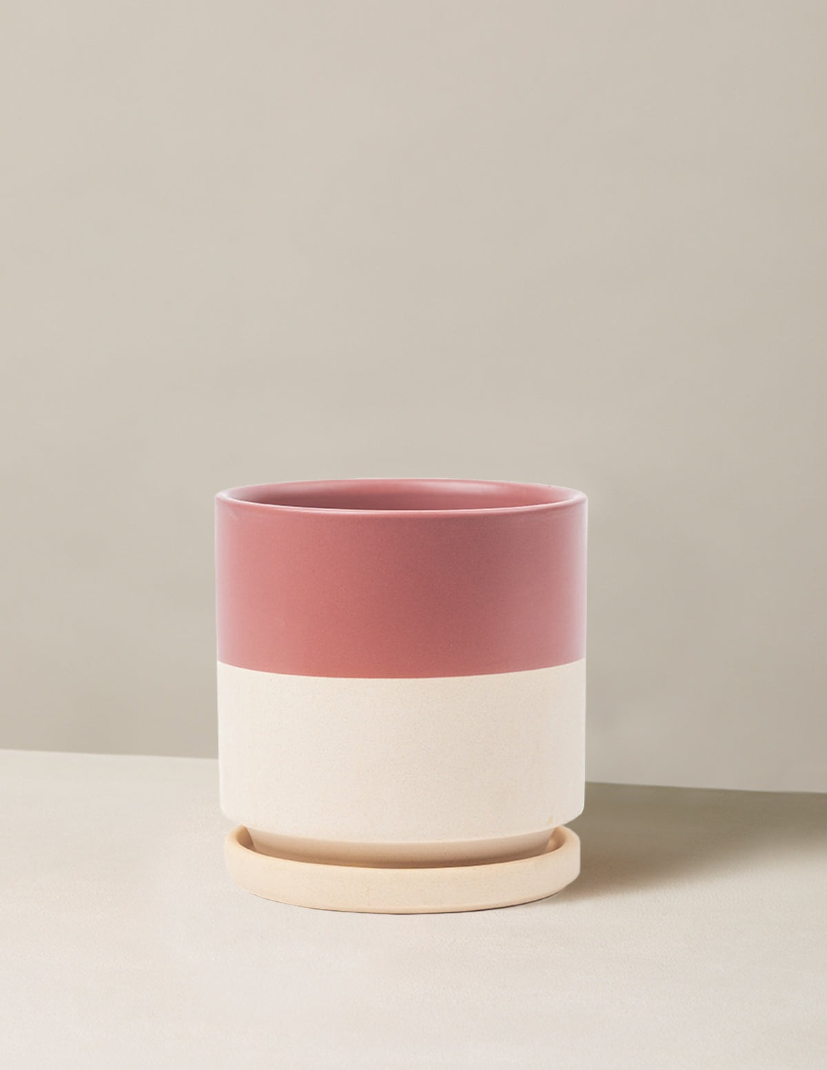 Isabella Planter (LGL)