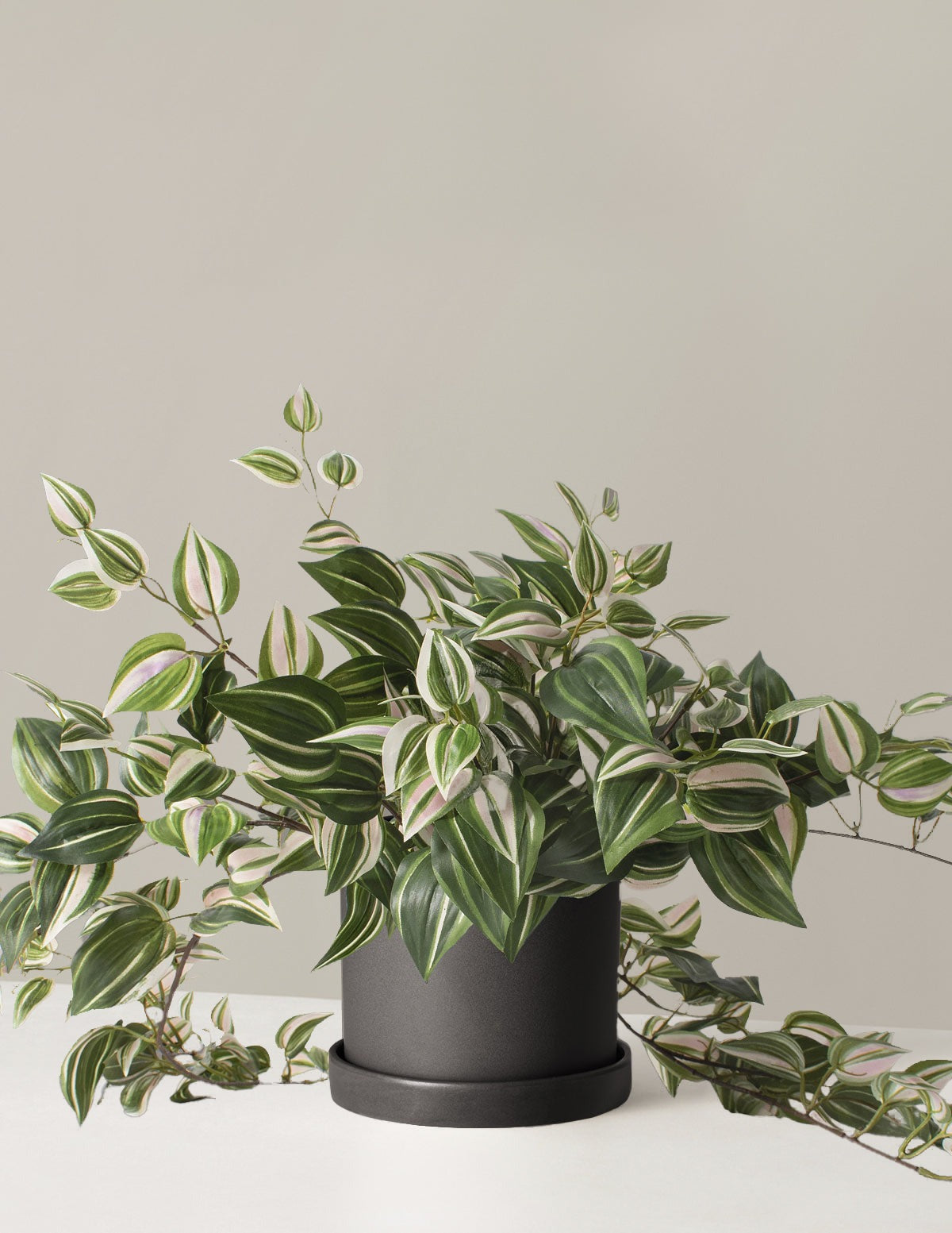 Artificial Tradescantia Zebrina