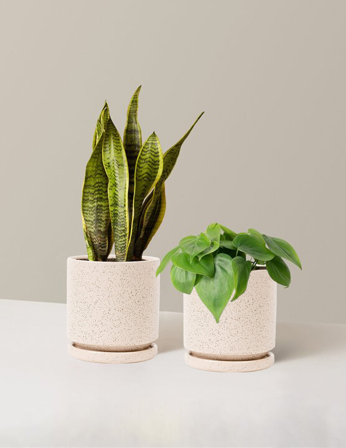 Living Room Duo