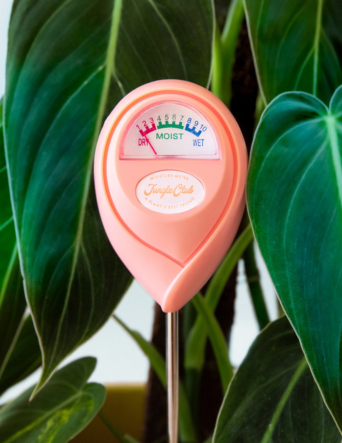 Moisture Meter