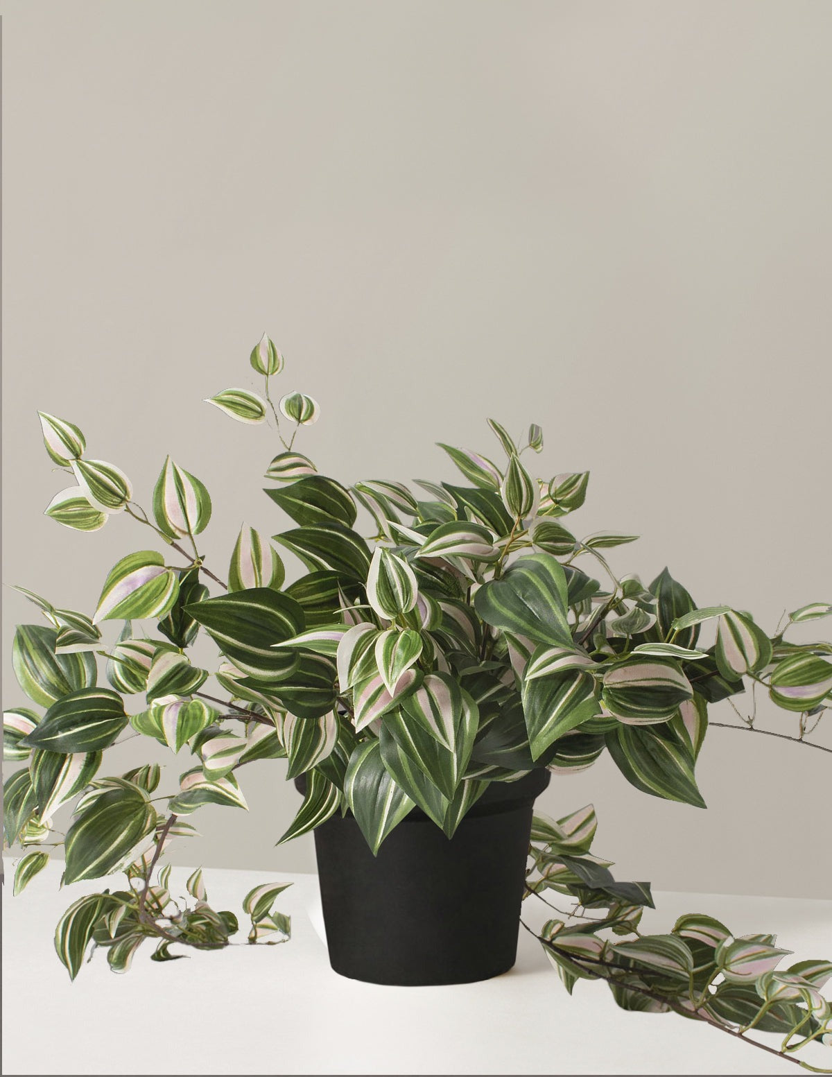 Artificial Tradescantia Zebrina