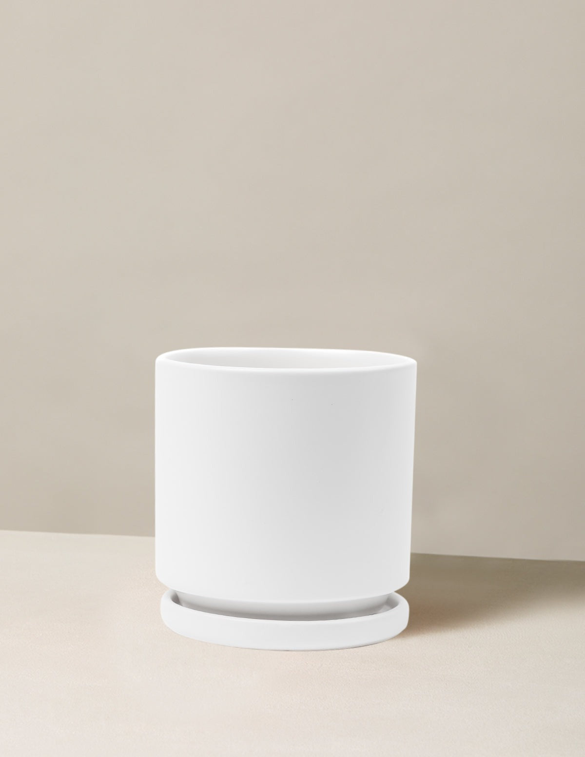 Isabella Planter (LGL)