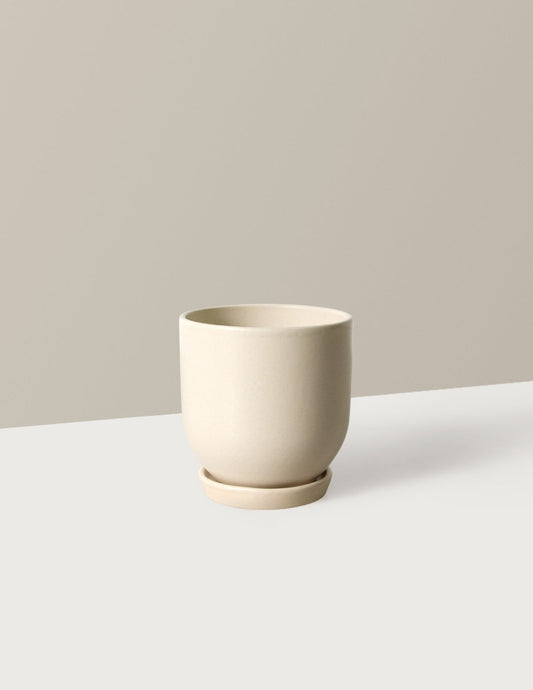 Westcott Planter (LGL)