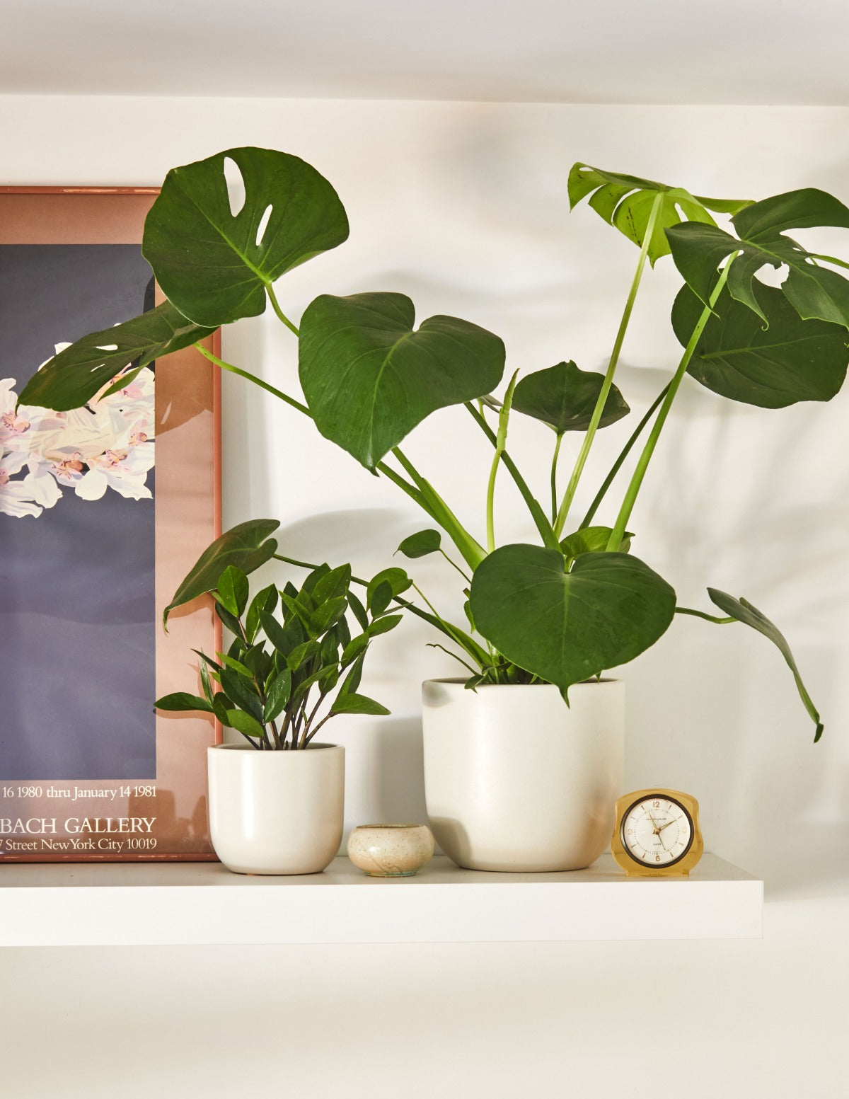 Small & Medium Grant Ceramic Planter Duo
