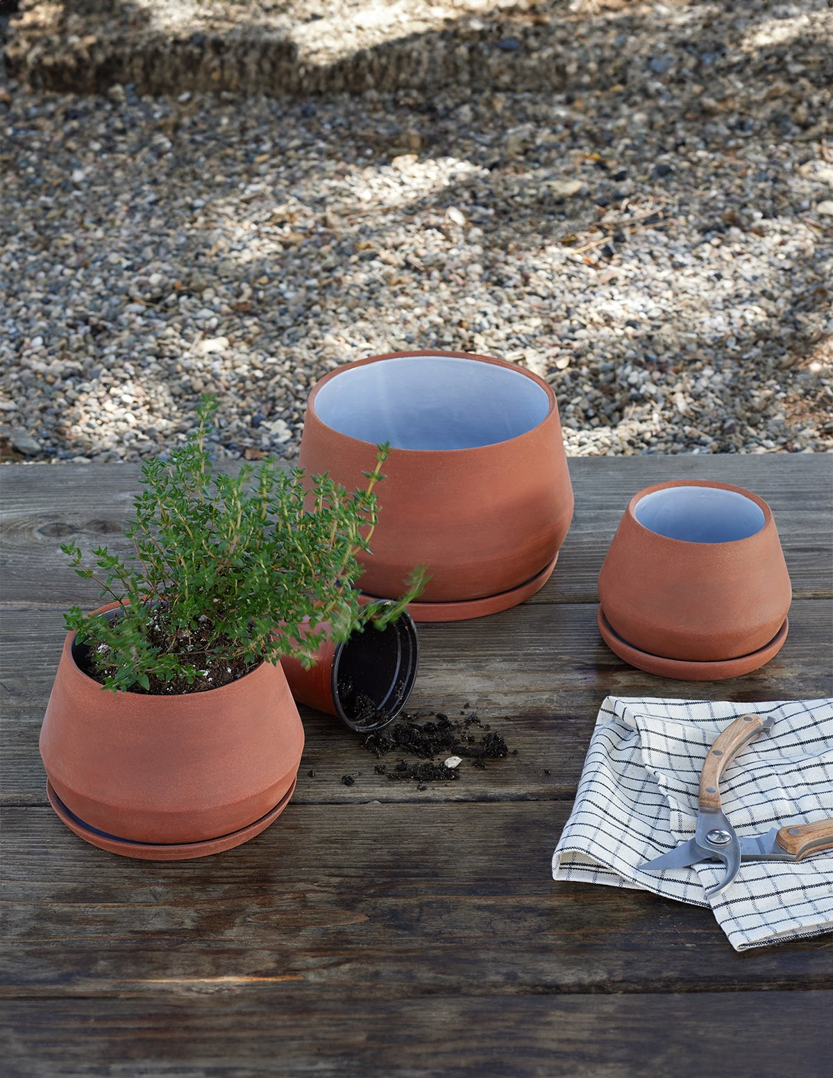 The Rancho Planter