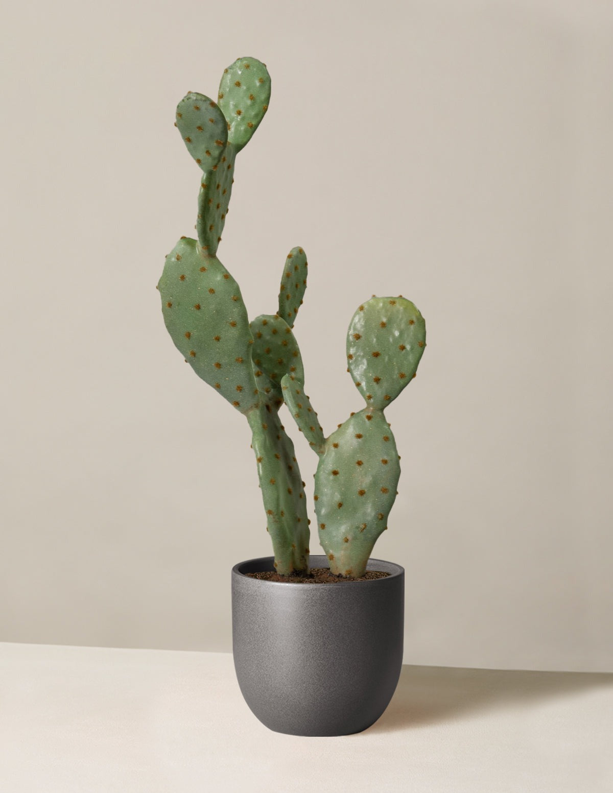 Artificial Cactus