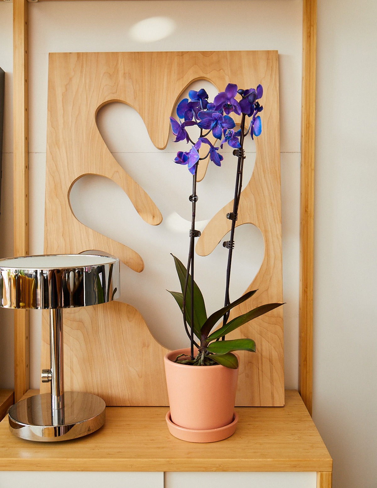 Watercolor Orchid Party Pack