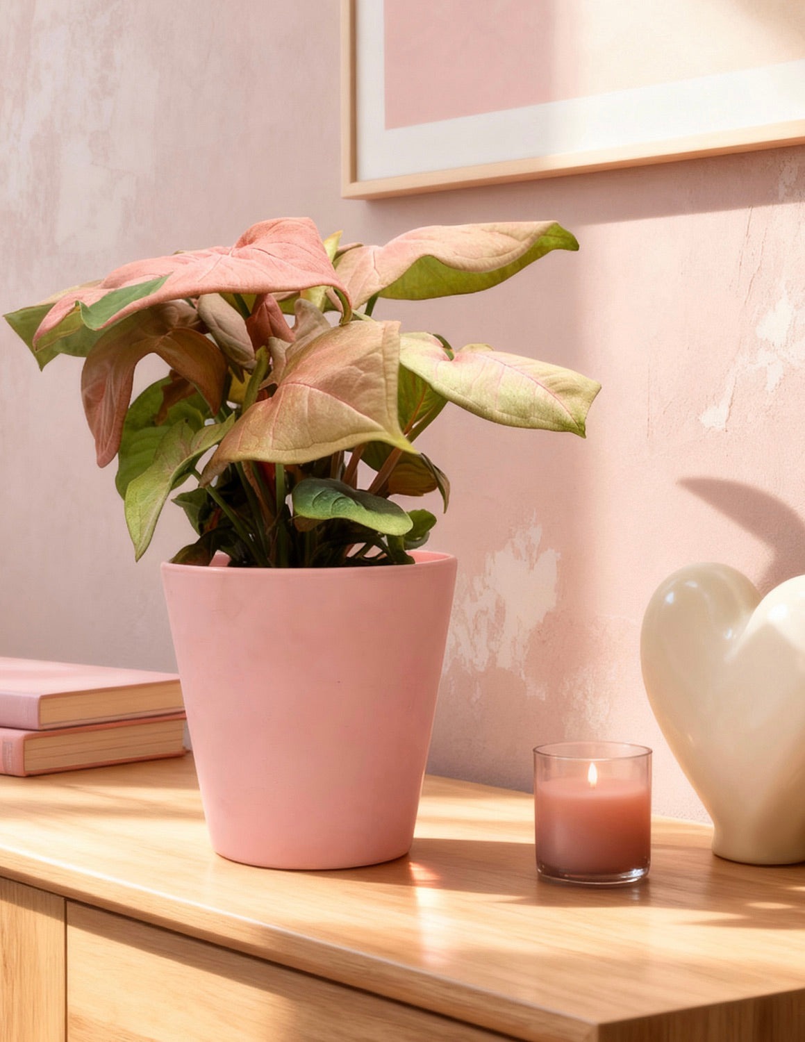 Pink Arrowhead Plant