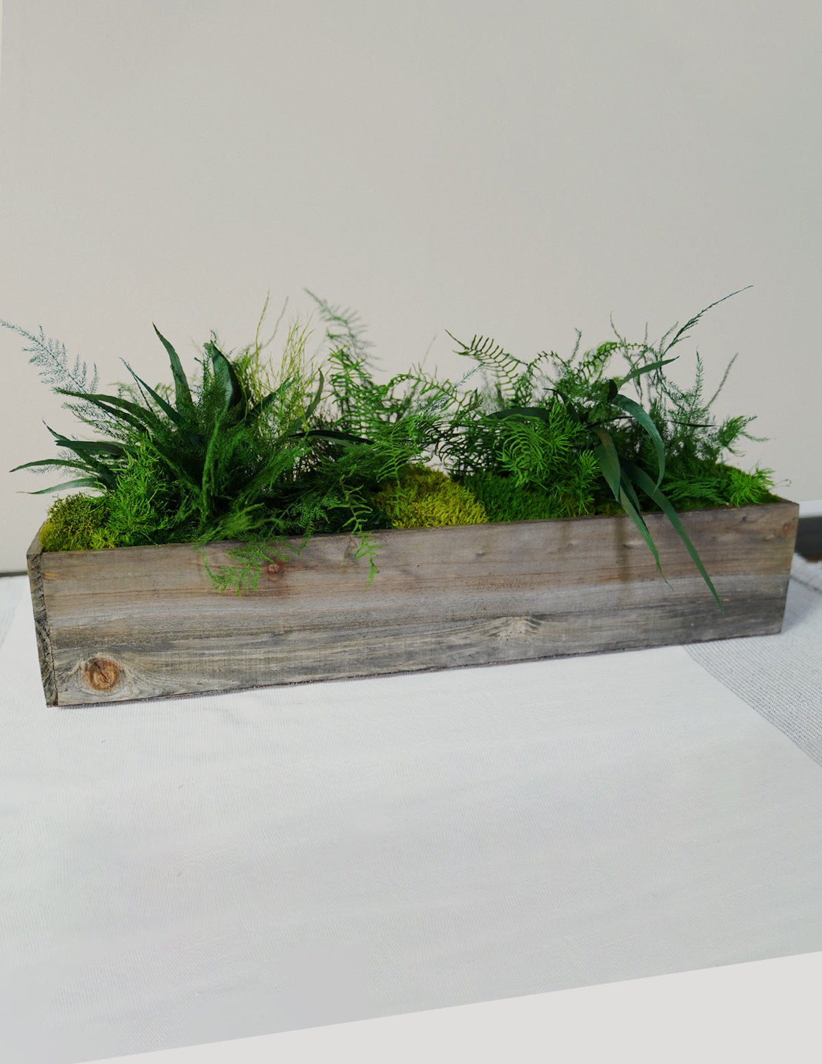 Preserved Moss & Fern Box