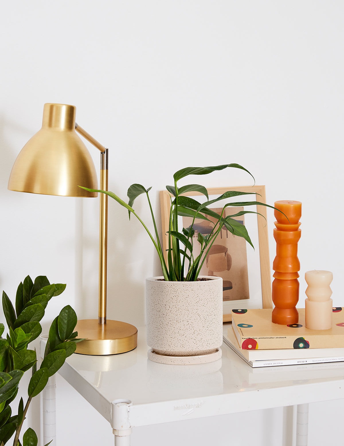 Monstera Burle Marx Flame