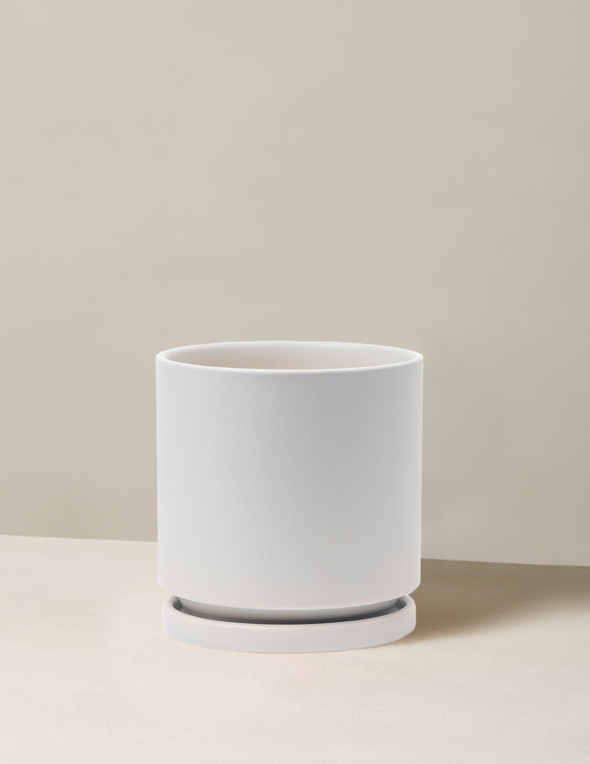 Isabella Planter (LGL)